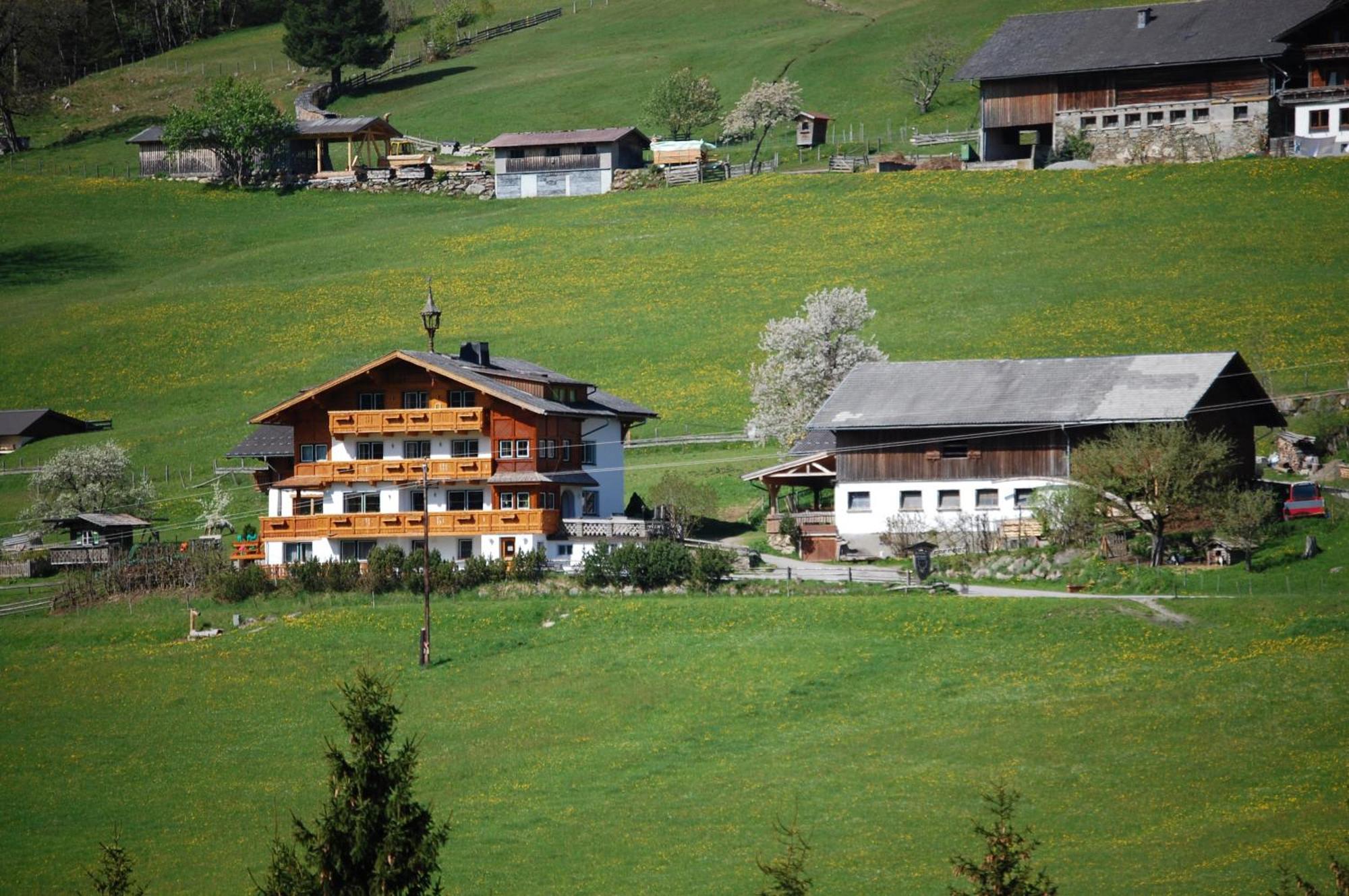Hocheggerhof - Urlaub Am Bauernhof Villa Schladming Bagian luar foto